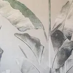 Jasminum 4* ביביונה