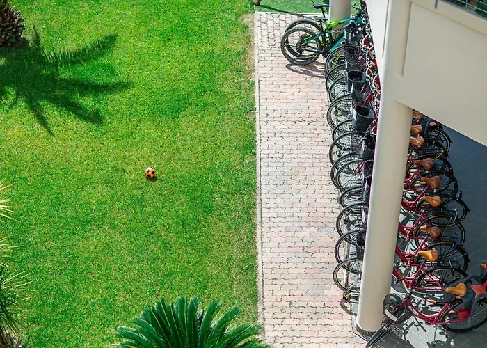 Jasminum 비비오네